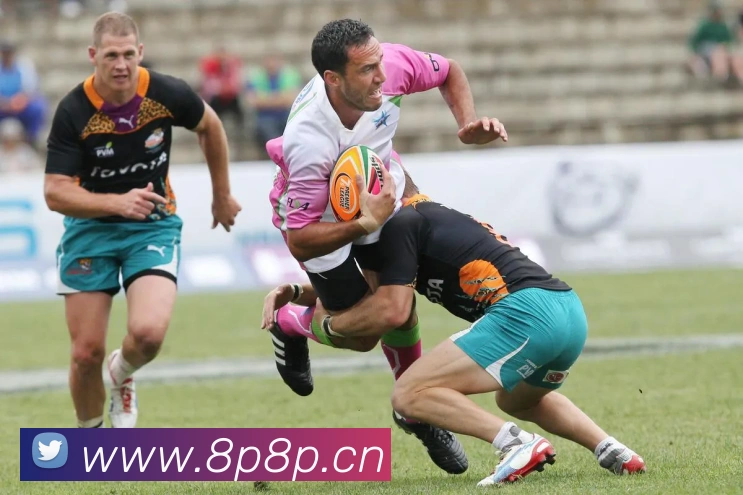 多媒体互动体验